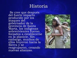 Historia Se cree que después del fuerte impacto producido por los ataques del gobernador de la provincia de Santa Marta, los indígenas sobrevivientes fueron forzados a establecerse en la planicie. Sin embargo, muchos de ellos huyeron hacia la Sierra y se reagruparon, creando nuevas alianzas. 