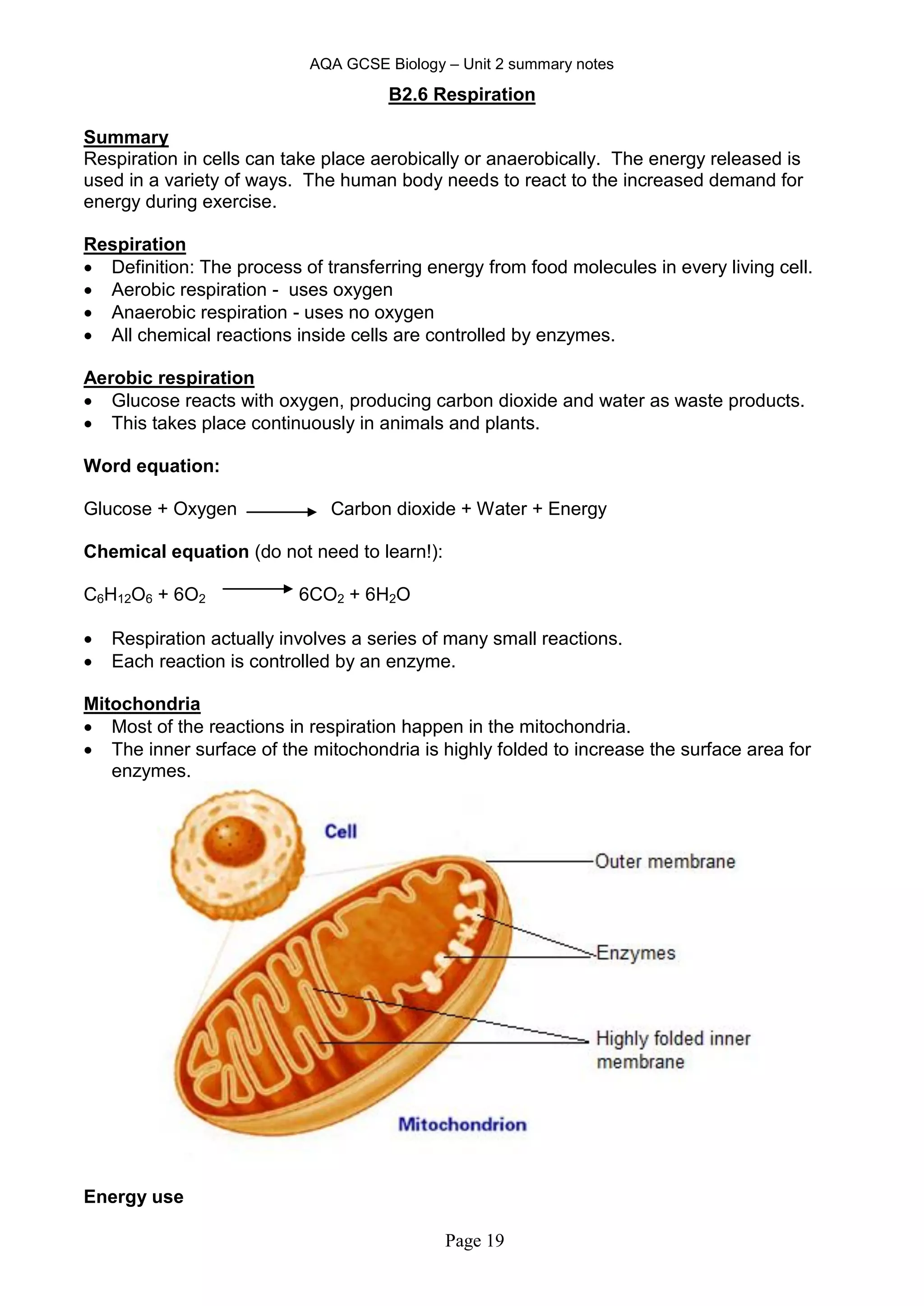 AQA GCSE Biology – Unit 2 summary notes
Page 19
B2.6 Respiration
Summary
Respiration in cells can take place aerobically or anaerobically. The energy released is
used in a variety of ways. The human body needs to react to the increased demand for
energy during exercise.
Respiration
 Definition: The process of transferring energy from food molecules in every living cell.
 Aerobic respiration - uses oxygen
 Anaerobic respiration - uses no oxygen
 All chemical reactions inside cells are controlled by enzymes.
Aerobic respiration
 Glucose reacts with oxygen, producing carbon dioxide and water as waste products.
 This takes place continuously in animals and plants.
Word equation:
Glucose + Oxygen Carbon dioxide + Water + Energy
Chemical equation (do not need to learn!):
C6H12O6 + 6O2 6CO2 + 6H2O
 Respiration actually involves a series of many small reactions.
 Each reaction is controlled by an enzyme.
Mitochondria
 Most of the reactions in respiration happen in the mitochondria.
 The inner surface of the mitochondria is highly folded to increase the surface area for
enzymes.
Energy use
 