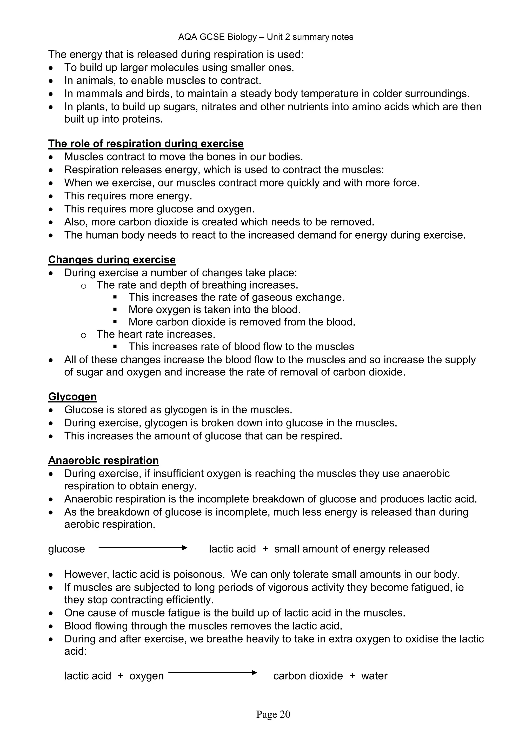 AQA GCSE Biology – Unit 2 summary notes
Page 20
The energy that is released during respiration is used:
 To build up larger molecules using smaller ones.
 In animals, to enable muscles to contract.
 In mammals and birds, to maintain a steady body temperature in colder surroundings.
 In plants, to build up sugars, nitrates and other nutrients into amino acids which are then
built up into proteins.
The role of respiration during exercise
 Muscles contract to move the bones in our bodies.
 Respiration releases energy, which is used to contract the muscles:
 When we exercise, our muscles contract more quickly and with more force.
 This requires more energy.
 This requires more glucose and oxygen.
 Also, more carbon dioxide is created which needs to be removed.
 The human body needs to react to the increased demand for energy during exercise.
Changes during exercise
 During exercise a number of changes take place:
o The rate and depth of breathing increases.
 This increases the rate of gaseous exchange.
 More oxygen is taken into the blood.
 More carbon dioxide is removed from the blood.
o The heart rate increases.
 This increases rate of blood flow to the muscles
 All of these changes increase the blood flow to the muscles and so increase the supply
of sugar and oxygen and increase the rate of removal of carbon dioxide.
Glycogen
 Glucose is stored as glycogen is in the muscles.
 During exercise, glycogen is broken down into glucose in the muscles.
 This increases the amount of glucose that can be respired.
Anaerobic respiration
 During exercise, if insufficient oxygen is reaching the muscles they use anaerobic
respiration to obtain energy.
 Anaerobic respiration is the incomplete breakdown of glucose and produces lactic acid.
 As the breakdown of glucose is incomplete, much less energy is released than during
aerobic respiration.
glucose lactic acid + small amount of energy released
 However, lactic acid is poisonous. We can only tolerate small amounts in our body.
 If muscles are subjected to long periods of vigorous activity they become fatigued, ie
they stop contracting efficiently.
 One cause of muscle fatigue is the build up of lactic acid in the muscles.
 Blood flowing through the muscles removes the lactic acid.
 During and after exercise, we breathe heavily to take in extra oxygen to oxidise the lactic
acid:
lactic acid + oxygen carbon dioxide + water
 