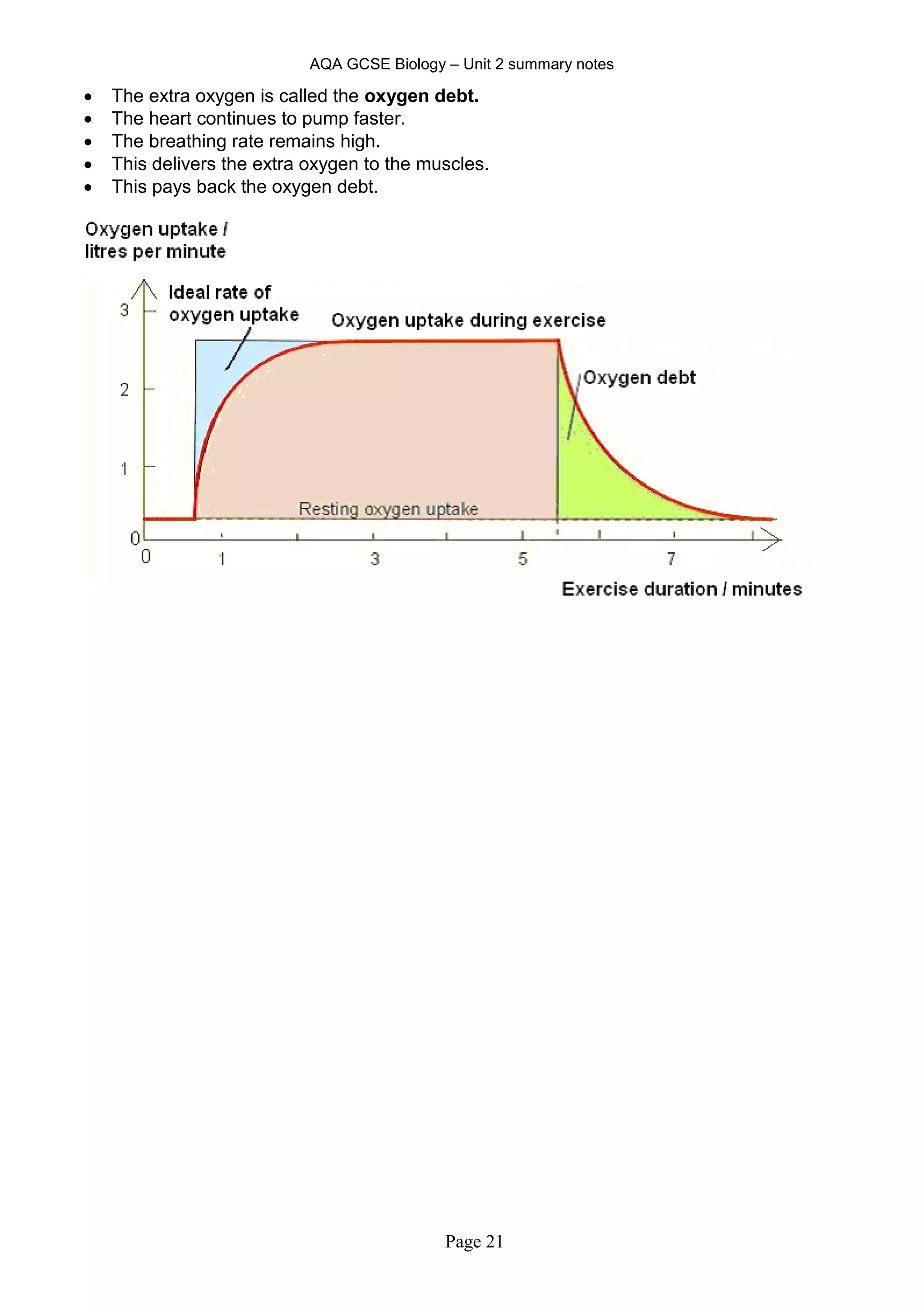 AQA GCSE Biology – Unit 2 summary notes
Page 21
 The extra oxygen is called the oxygen debt.
 The heart continues to pump faster.
 The breathing rate remains high.
 This delivers the extra oxygen to the muscles.
 This pays back the oxygen debt.
 