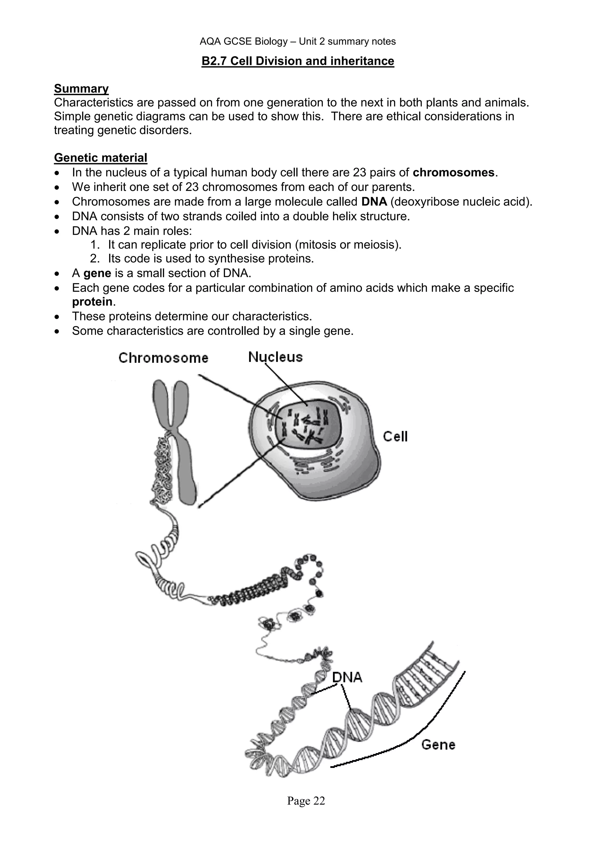 AQA GCSE Biology – Unit 2 summary notes
Page 22
B2.7 Cell Division and inheritance
Summary
Characteristics are passed on from one generation to the next in both plants and animals.
Simple genetic diagrams can be used to show this. There are ethical considerations in
treating genetic disorders.
Genetic material
 In the nucleus of a typical human body cell there are 23 pairs of chromosomes.
 We inherit one set of 23 chromosomes from each of our parents.
 Chromosomes are made from a large molecule called DNA (deoxyribose nucleic acid).
 DNA consists of two strands coiled into a double helix structure.
 DNA has 2 main roles:
1. It can replicate prior to cell division (mitosis or meiosis).
2. Its code is used to synthesise proteins.
 A gene is a small section of DNA.
 Each gene codes for a particular combination of amino acids which make a specific
protein.
 These proteins determine our characteristics.
 Some characteristics are controlled by a single gene.
 