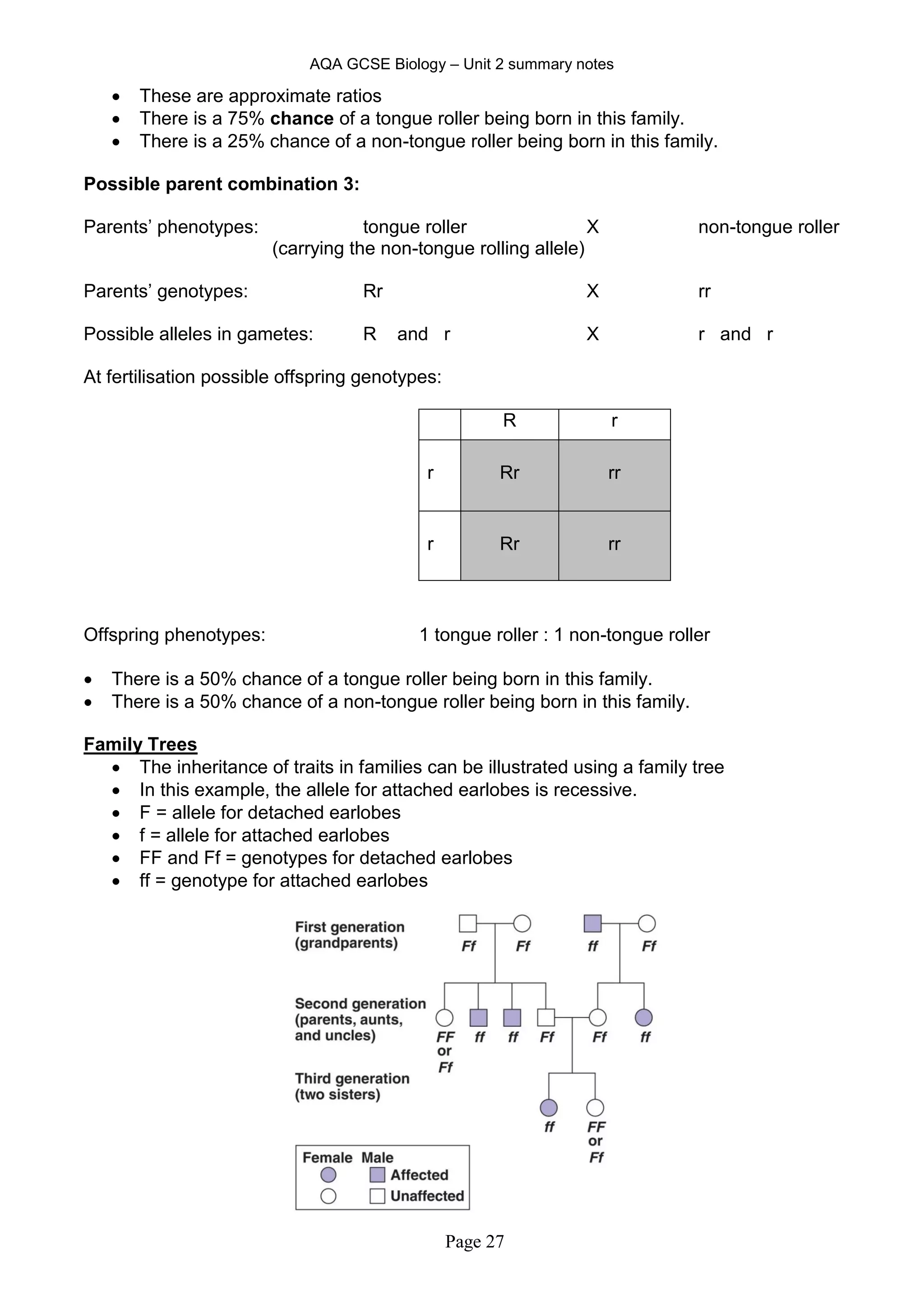 AQA GCSE Biology – Unit 2 summary notes
Page 27
 These are approximate ratios
 There is a 75% chance of a tongue roller being born in this family.
 There is a 25% chance of a non-tongue roller being born in this family.
Possible parent combination 3:
Parents’ phenotypes: tongue roller X non-tongue roller
(carrying the non-tongue rolling allele)
Parents’ genotypes: Rr X rr
Possible alleles in gametes: R and r X r and r
At fertilisation possible offspring genotypes:
R r
r Rr rr
r Rr rr
Offspring phenotypes: 1 tongue roller : 1 non-tongue roller
 There is a 50% chance of a tongue roller being born in this family.
 There is a 50% chance of a non-tongue roller being born in this family.
Family Trees
 The inheritance of traits in families can be illustrated using a family tree
 In this example, the allele for attached earlobes is recessive.
 F = allele for detached earlobes
 f = allele for attached earlobes
 FF and Ff = genotypes for detached earlobes
 ff = genotype for attached earlobes
 