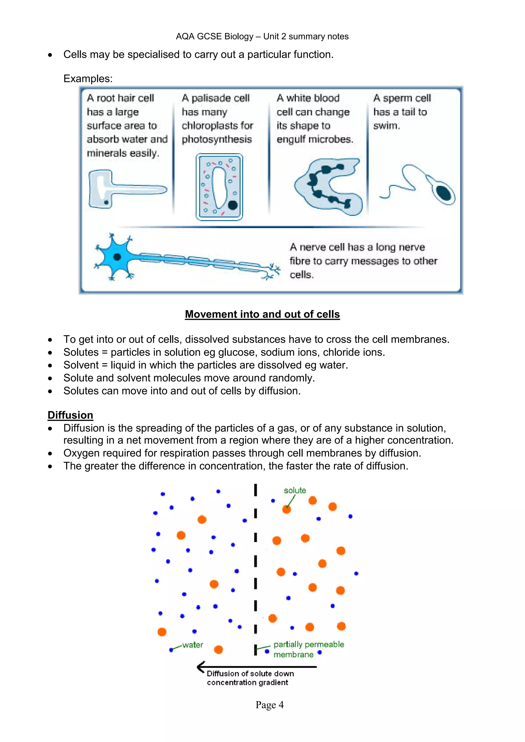 AQA GCSE Biology – Unit 2 summary notes
Page 4
 Cells may be specialised to carry out a particular function.
Examples:
Movement into and out of cells
 To get into or out of cells, dissolved substances have to cross the cell membranes.
 Solutes = particles in solution eg glucose, sodium ions, chloride ions.
 Solvent = liquid in which the particles are dissolved eg water.
 Solute and solvent molecules move around randomly.
 Solutes can move into and out of cells by diffusion.
Diffusion
 Diffusion is the spreading of the particles of a gas, or of any substance in solution,
resulting in a net movement from a region where they are of a higher concentration.
 Oxygen required for respiration passes through cell membranes by diffusion.
 The greater the difference in concentration, the faster the rate of diffusion.
 