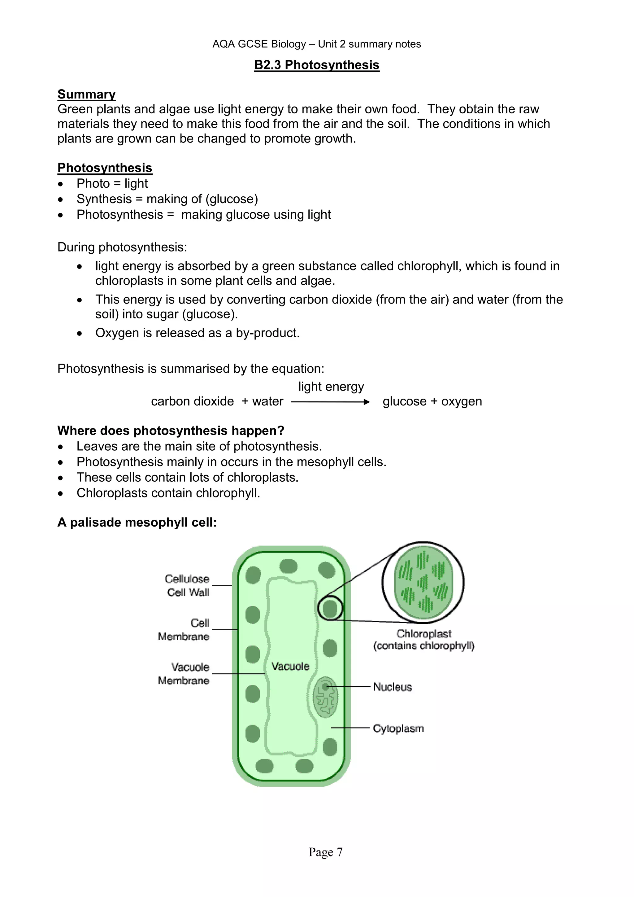 AQA GCSE Biology – Unit 2 summary notes
Page 7
B2.3 Photosynthesis
Summary
Green plants and algae use light energy to make their own food. They obtain the raw
materials they need to make this food from the air and the soil. The conditions in which
plants are grown can be changed to promote growth.
Photosynthesis
 Photo = light
 Synthesis = making of (glucose)
 Photosynthesis = making glucose using light
During photosynthesis:
 light energy is absorbed by a green substance called chlorophyll, which is found in
chloroplasts in some plant cells and algae.
 This energy is used by converting carbon dioxide (from the air) and water (from the
soil) into sugar (glucose).
 Oxygen is released as a by-product.
Photosynthesis is summarised by the equation:
light energy
carbon dioxide + water glucose + oxygen
Where does photosynthesis happen?
 Leaves are the main site of photosynthesis.
 Photosynthesis mainly in occurs in the mesophyll cells.
 These cells contain lots of chloroplasts.
 Chloroplasts contain chlorophyll.
A palisade mesophyll cell:
 