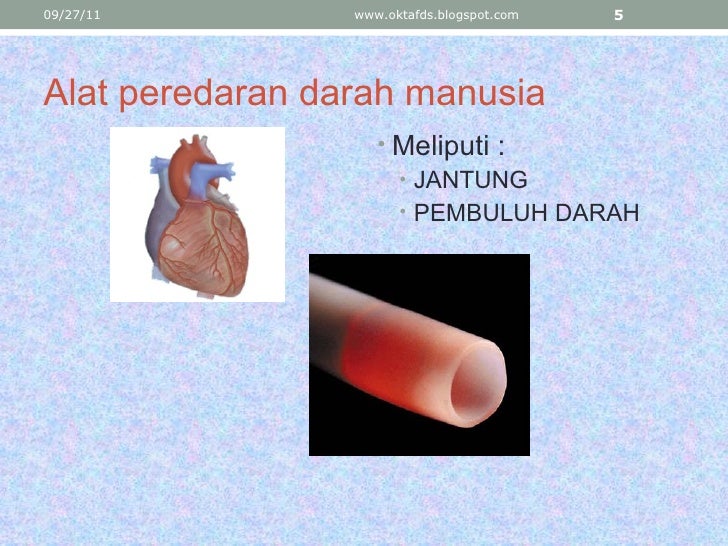 1 Alat Peredaran Darah 9434328