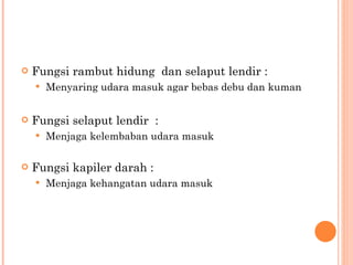 F ungsi rambut hidung  dan selaput lendir  : Menyaring udara masuk agar bebas debu dan kuman Fungsi selaput lendir  :  Menjaga kelembaban udara masuk Fungsi kapiler darah  :  Menjaga kehanga tan  udara masuk  
