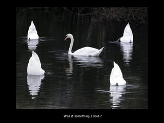 Was it something I said ?