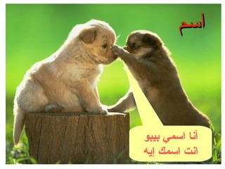 ‫اسم‬

‫أنا اسمي بيبو‬
‫انت اسمك إيه‬

 