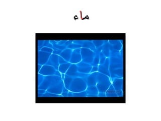 ‫ماء‬

 