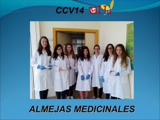 CCV14
ALMEJAS MEDICINALESALMEJAS MEDICINALES
 