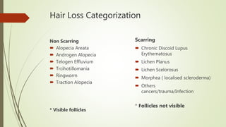 Hair Loss Categorization
Non Scarring
 Alopecia Areata
 Androgen Alopecia
 Telogen Effluvium
 Trcihotillomania
 Ringworm
 Traction Alopecia
* Visible follicles
Scarring
 Chronic Discoid Lupus
Erythematosus
 Lichen Planus
 Lichen Scelorosus
 Morphea ( localised scleroderma)
 Others
cancers/trauma/Infection
* Follicles not visible
 
