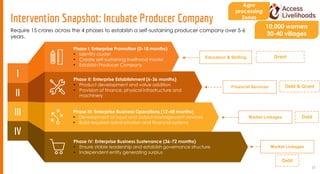 Intervention Snapshot: Incubate Producer Company
12
II
III
IV
I
Phase I: Enterprise Promotion (0-18 months)
• Identify clu...