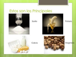 Estos son los Principales
Electrolitos
             Sodio          Potasio




             Calcio         Magnesio
 