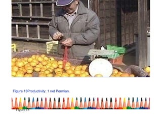 Figure 13Productivity: 1 net Permian.
Figure 13
 