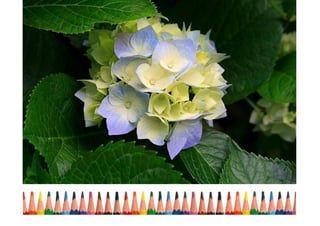 ORGANIZATIONAL PERFORMANCE AND EFFECTIVENESS (KAIZEN) 