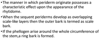 •The manner in which periderm originate possesses a
characteristic effect upon the appearance of the
rhytidome.
•When the sequent periderms develop as overlapping
scale-like layers then the outer bark is termed as scale
bark.
•If the phellogen arise around the whole circumference of
the stem,a ring bark is formed.
 