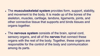 ● The musculoskeletal system provides form, support, stability,
and movement to the body. It is made up of the bones of the
skeleton, muscles, cartilage, tendons, ligaments, joints, and
other connective tissue that supports and binds tissues and
organs together.
● The nervous system consists of the brain, spinal cord,
sensory organs, and all of the nerves that connect these
organs with the rest of the body. Together, these organs are
responsible for the control of the body and communication
among its parts.
 