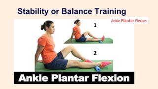 Stability or Balance Training
Ankle Plantar Flexion
 