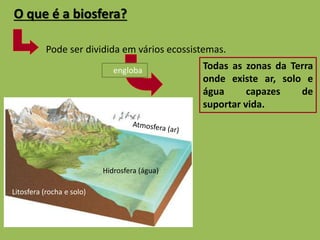 O que é a biosfera? 
Pode ser dividida em vários ecossistemas. 
Litosfera (rocha e solo) 
Hidrosfera (água) 
Todas as zonas da Terra 
onde existe ar, solo e 
água capazes de 
suportar vida. 
engloba 
 