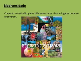 Biodiversidade 
Conjunto constituído pelos diferentes seres vivos e lugares onde se 
encontram. 
 