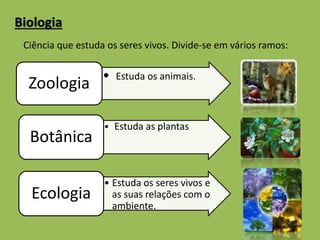 Biologia 
Ciência que estuda os seres vivos. Divide-se em vários ramos: 
• Estuda os animais. Zoologia 
• Estuda as plantas 
Botânica 
• Estuda os seres vivos e 
as suas relações com o 
ambiente. 
Ecologia 
 