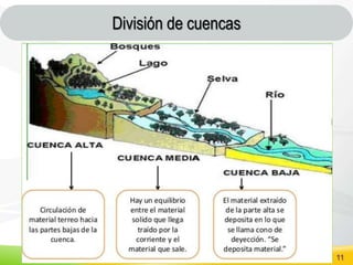 SSV 11
División de cuencas
 