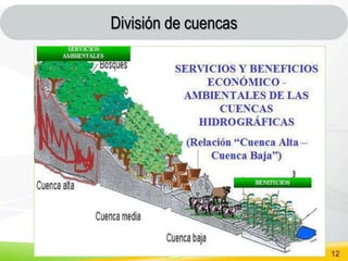 SSV 12
División de cuencas
 