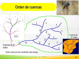 SSV 30
Orden de cuencas
1 1
Cuencas de 4°
orden
Orden indica qué tan ramificado está drenaje
4
2
Cuenca de
3er orden
1
1
1
1
1
1
2
2
2
3
3
 