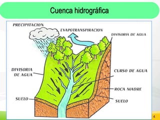SSV 4
Cuenca hidrográfica
 