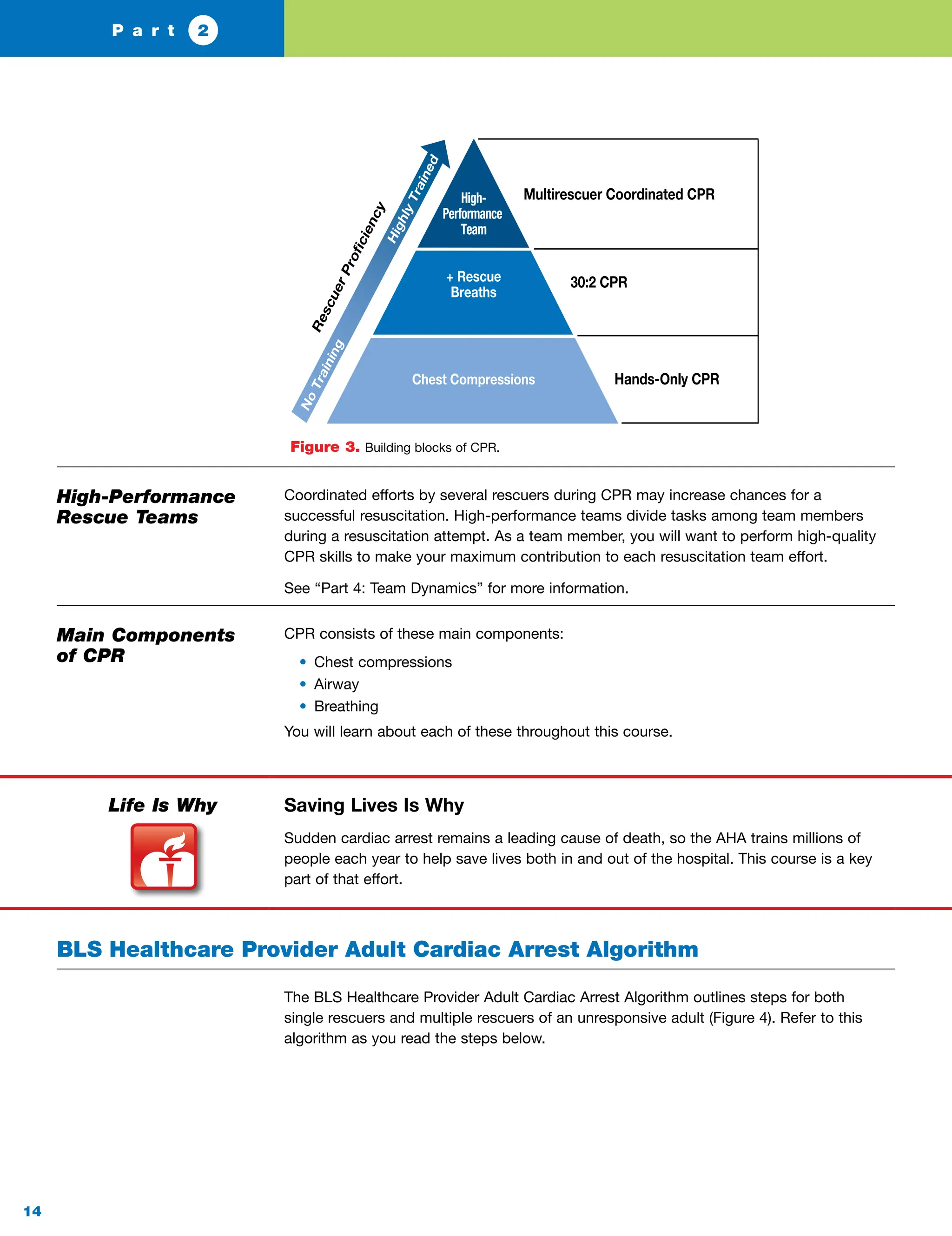 (1) American Heart Association - BLS Provider Manu_230907_200523.pdf