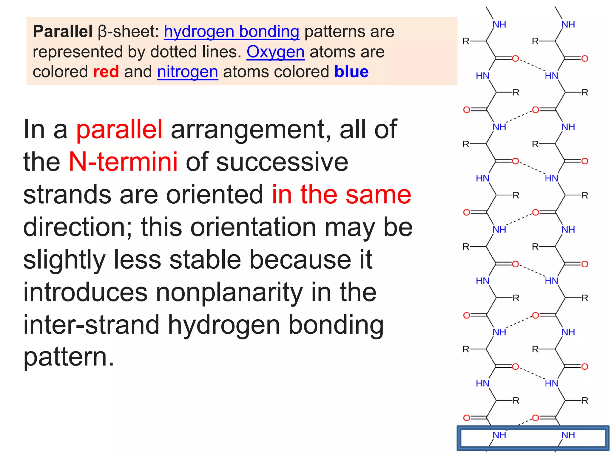 1 Main minerals. Amino acids. Proteins folding 2021 | PPTX
