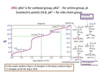 1 Main minerals. Amino acids. Proteins folding 2021 | PPTX