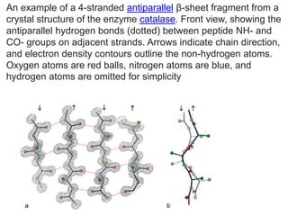 1 Main minerals. Amino acids. Proteins folding 2021 | PPTX