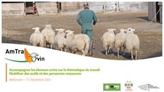 1
Webinaire – 17 décembre 2021
Accompagner les éleveurs ovins sur la thématique du travail
Mobiliser des outils et des personnes ressources
 