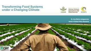 Dr. Ana María Loboguerrero
Head of Global Policy Research
Transforming Food Systems
under a Changing Climate
 