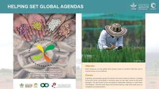 Transforming Food Systems under a Changing Climate - Ana Maria Loboguerrero COP24 opening