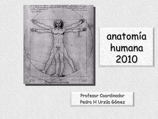 Profesor Coordinador Pedro H Urzúa Gómez anatomía humana 2010 