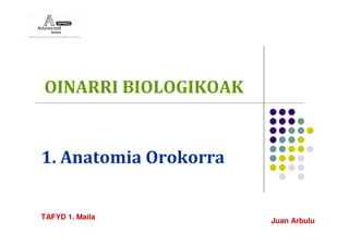 OINARRI BIOLOGIKOAK


1. Anatomia Orokorra


TAFYD 1. Maila
                       Juan Arbulu
 