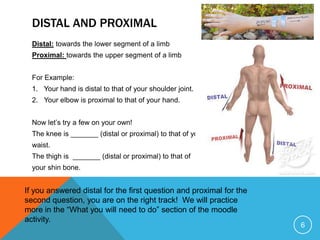 DISTAL AND PROXIMAL
Distal: towards the lower segment of a limb
Proximal: towards the upper segment of a limb
For Example:
1. Your hand is distal to that of your shoulder joint.
2. Your elbow is proximal to that of your hand.
Now let’s try a few on your own!
The knee is _______ (distal or proximal) to that of your
waist.
The thigh is _______ (distal or proximal) to that of
your shin bone.

If you answered distal for the first question and proximal for the
second question, you are on the right track! We will practice
more in the “What you will need to do” section of the moodle
activity.

6

 