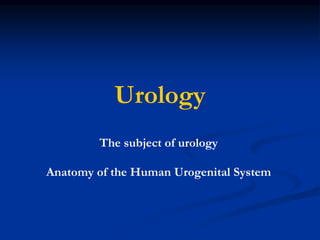 Urology
The subject of urology
Anatomy of the Human Urogenital System
 