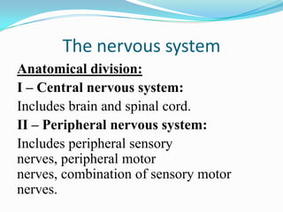 The nervous system
Anatomical division:
I – Central nervous system:
Includes brain and spinal cord.
II – Peripheral nervous system:
Includes peripheral sensory
nerves, peripheral motor
nerves, combination of sensory motor
nerves.
 