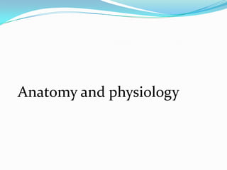 Anatomy and physiology
 