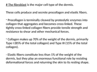Cleaved Skin 1 Anatomy and Physiology of skin and Appendages.pptx
