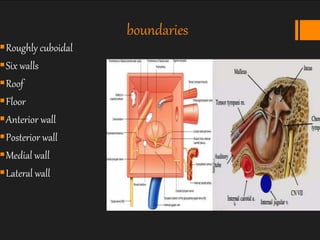 Middle Ear Rectangular Room anatomy of ear | PPTX