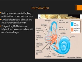 Endolymph Labyrinth anatomy of ear | PPTX