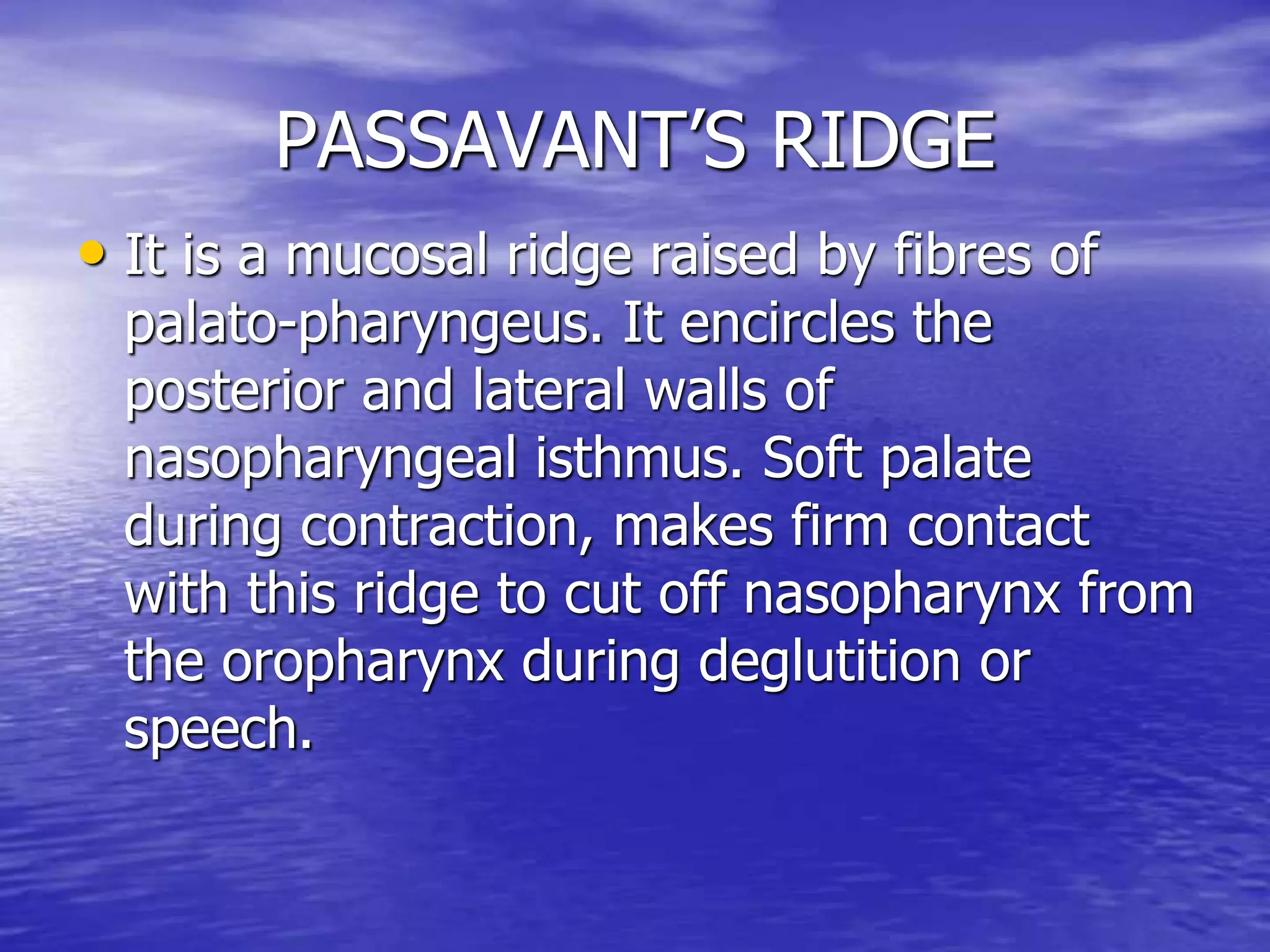 1 ANATOMY OF PHARYNX.pptx