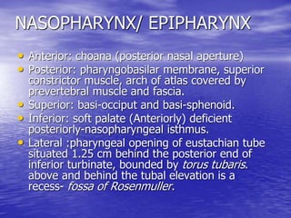 1 ANATOMY OF PHARYNX.pptx