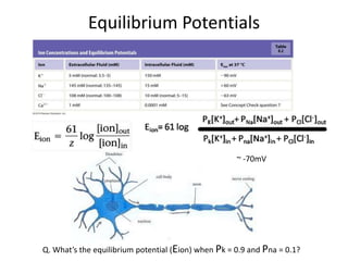 1 and 2 Neurophysiology-student (2).pptx
