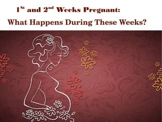 1st
and 2nd
Weeks Pregnant:
   What Happens During These Weeks? 
 