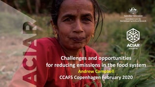 Challenges and opportunities
for reducing emissions in the food system
Andrew Campbell
CCAFS Copenhagen February 2020
 